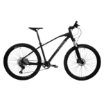 RALEIGH MOJAVE 5.0 R29 1x11v