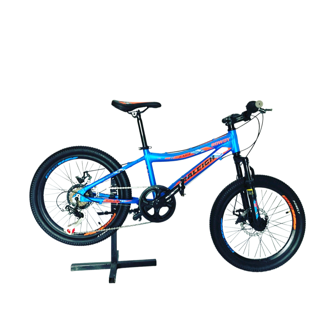 Raleigh best sale rodado 20