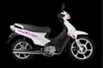 MOTOMEL BLITZ BASE Y FULL - Imagen 2