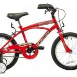 FIREBIRD R16 playera