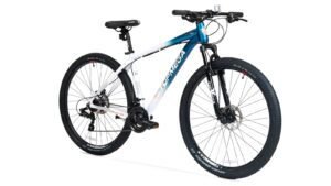 TOPMEGA SUNSHINE R29 21v