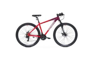 TOPMEGA SUNSHINE R29 21v - Imagen 10