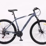 TGB R29