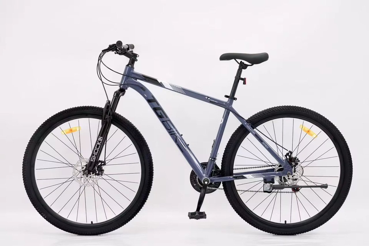 IMG_6608.JPG TGB R29 - Imagen 1