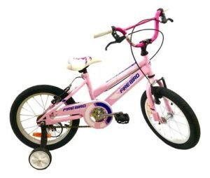 FIREBIRD R16 - Imagen 11