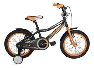 FIREBIRD R16 - Imagen 8