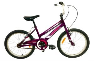 FIREBIRD R20 - Imagen 3