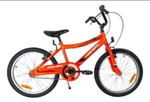 FIREBIRD R20 - Imagen 4