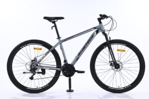 RYDETECH 300 GT R29 ACERO (shimano)