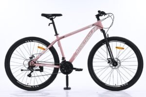 RYDETECH 300 GT R29 ACERO (shimano) - Imagen 2